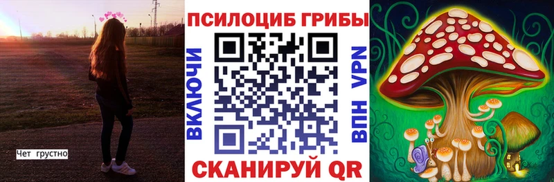 Галлюциногенные грибы ЛСД  Злынка 