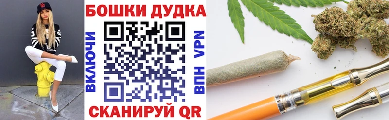 где купить наркотик  Злынка  Канабис OG Kush 